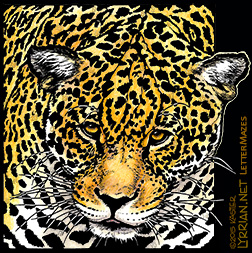 LetterMaze Safari | Jaguar