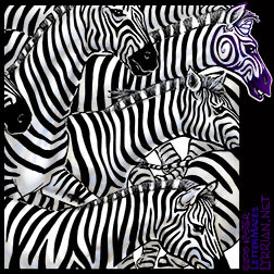 LetterMaze Safari | Zebras
